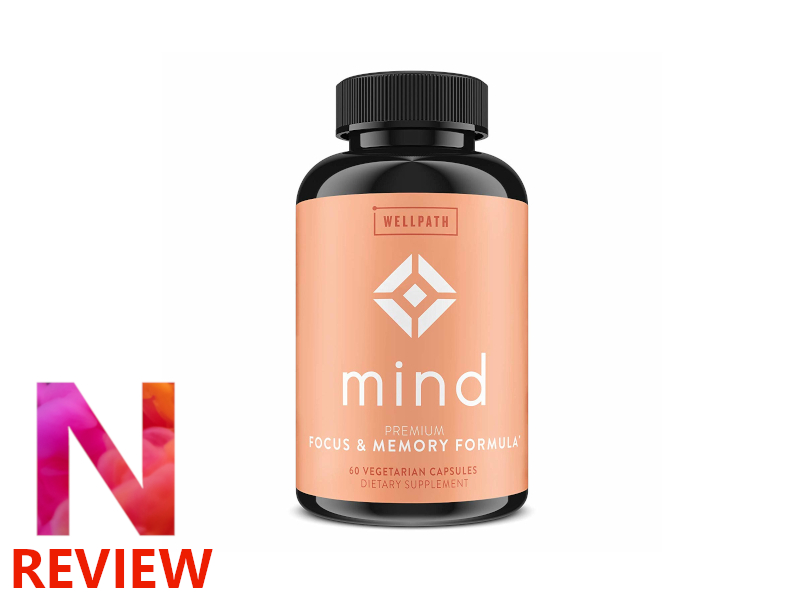 WellPath Mind review